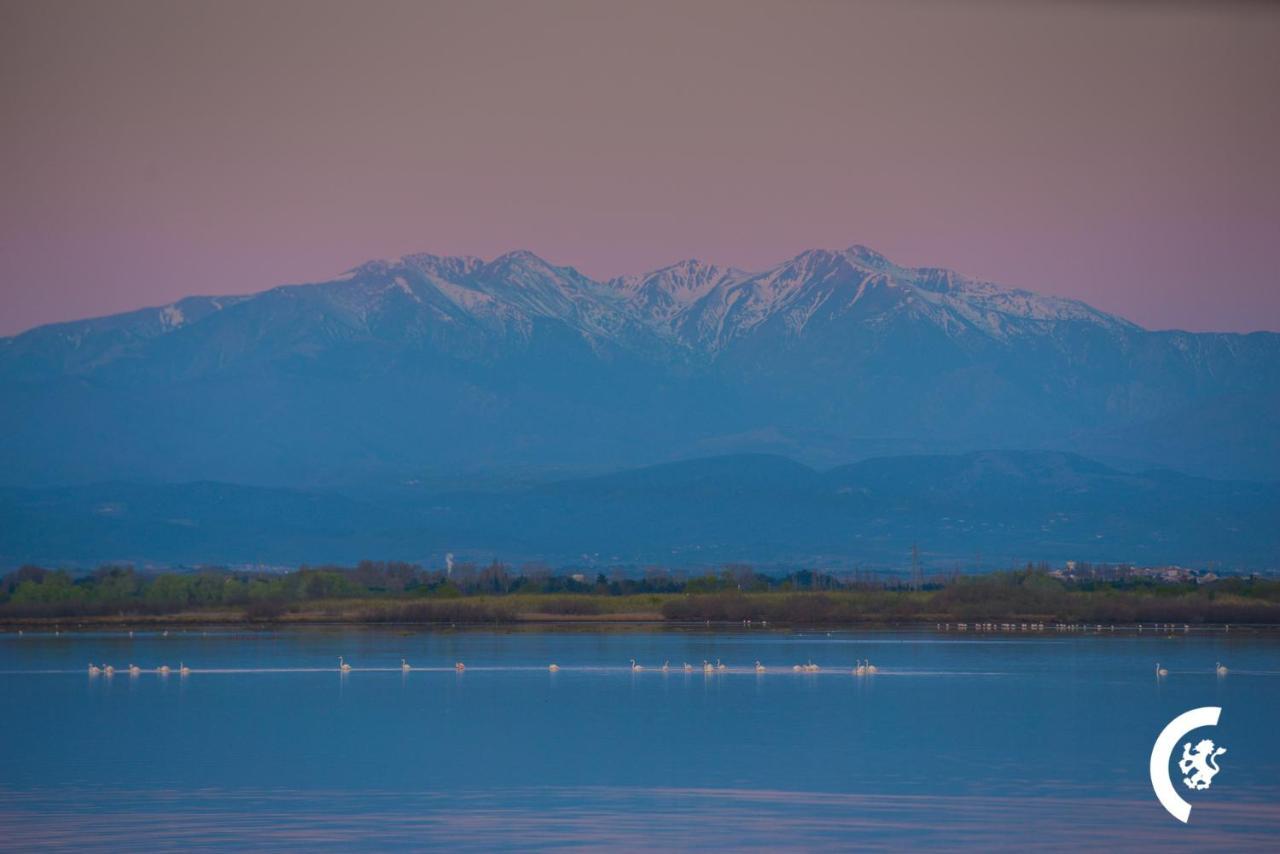 "Mer" Sejour Detente Tout Confort, Magnifique Vue Sur La Mer Canet-en-Roussillon Exterior photo